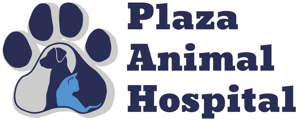 Plaza Animal Hospital